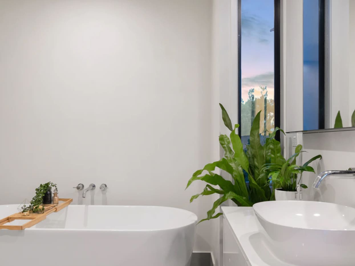 室内の写真：洗面台と浴槽、観葉植物のある白を基調とした浴室